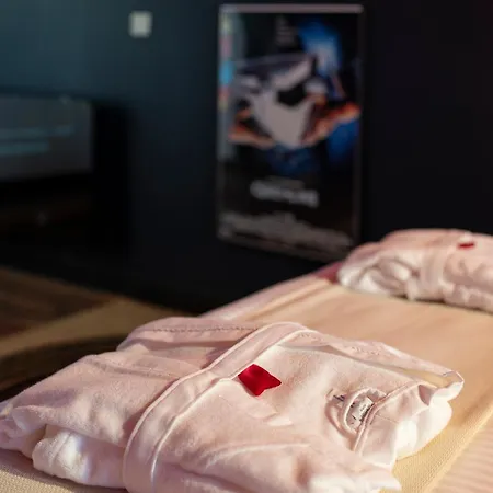 Cinema De Gamme Avec Balneotherapie Apartment Nancy