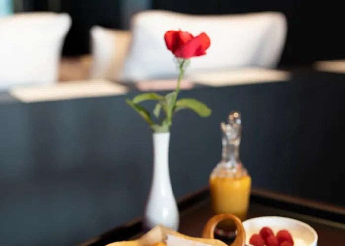 Cinema De Gamme Avec Balneotherapie Apartment Nancy